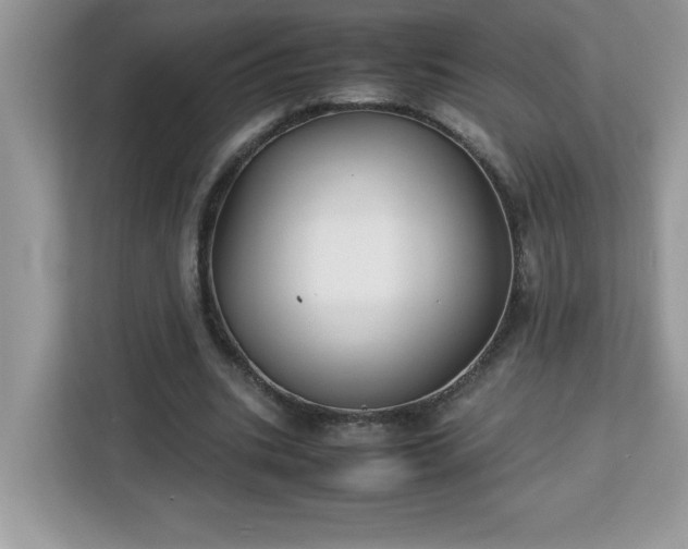 X0000113110535200908281411