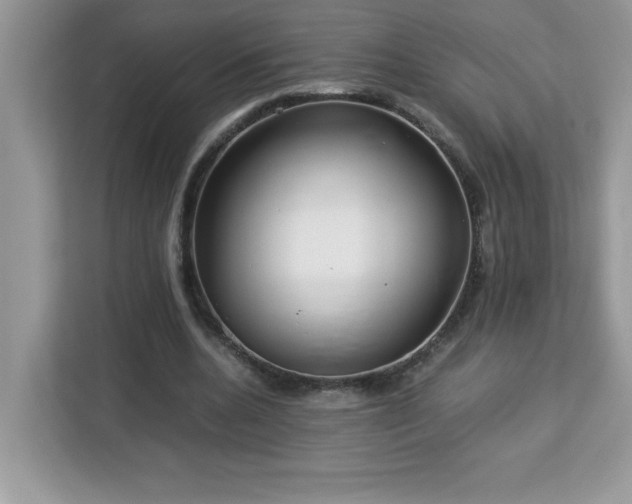 X0000113110536200908281411