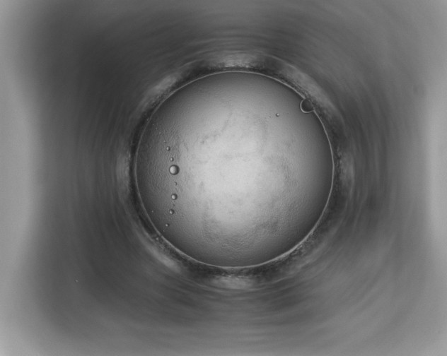 X0000113110537200908281411