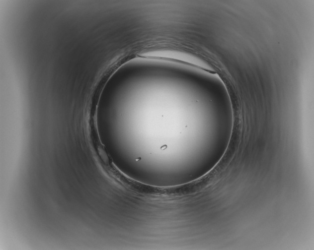 X0000113110538200908281411