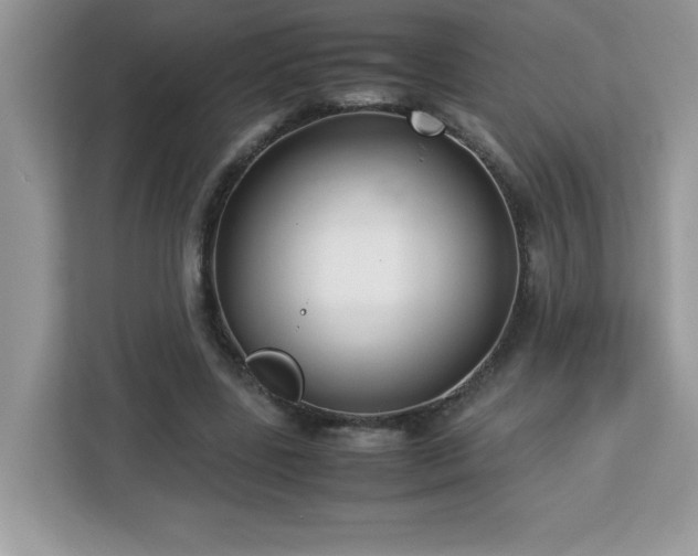 X0000113110539200908281411