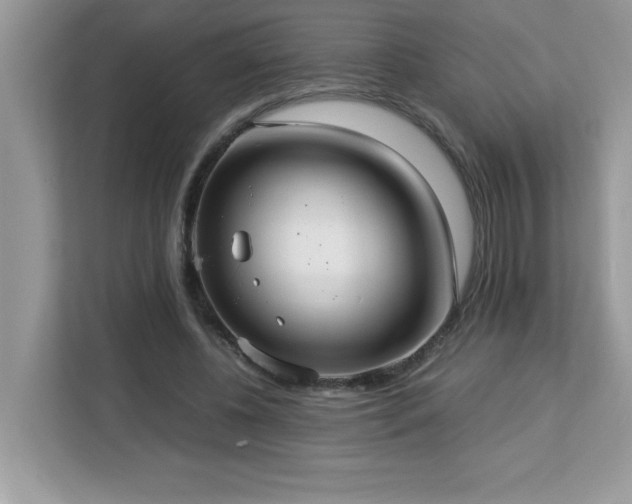 X0000113110540200908281411