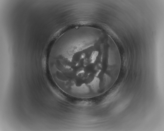 X0000113110542200908281411