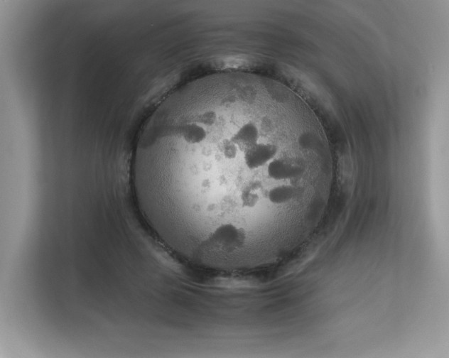 X0000113110545200908281411