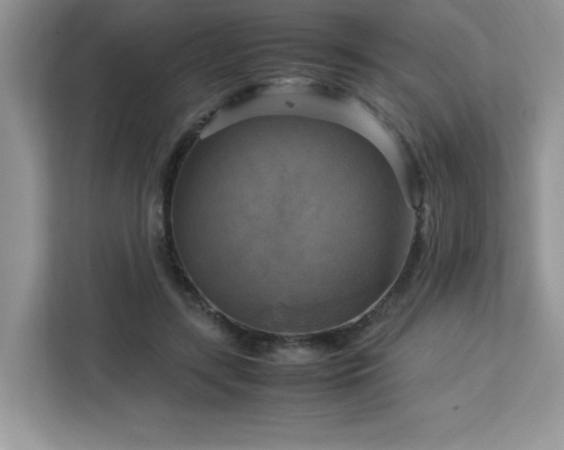 X0000113110547200908281411
