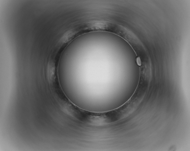 X0000113110548200908281411