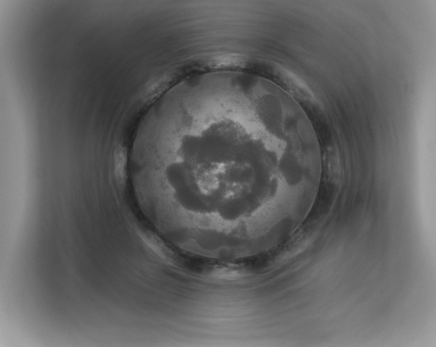 X0000113110550200908281411