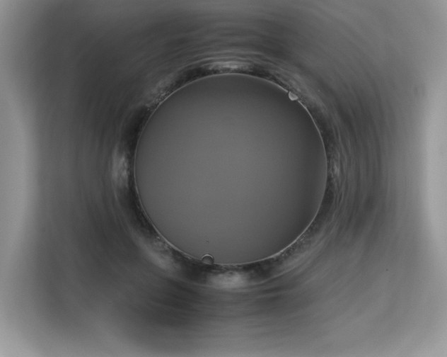 X0000113110551200908281411