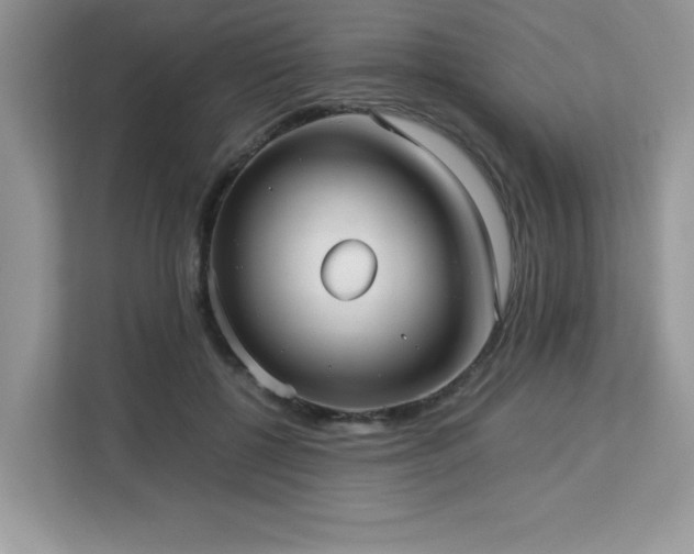 X0000113110552200908281411