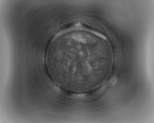 X0000113110553200908281411