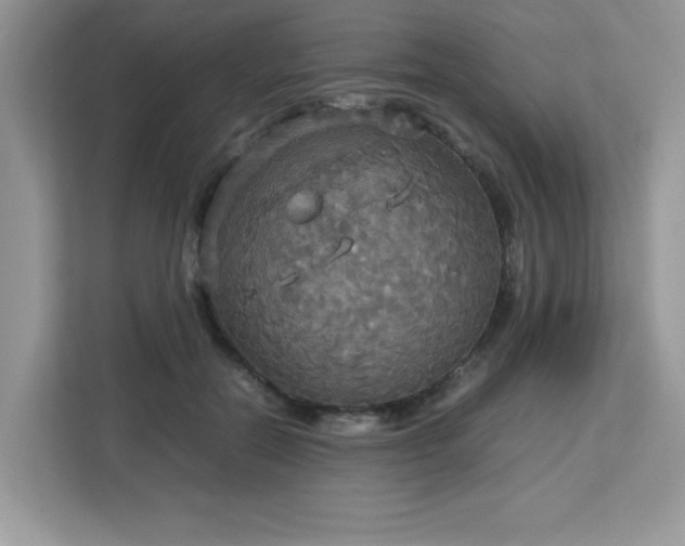 X0000113110554200908281411