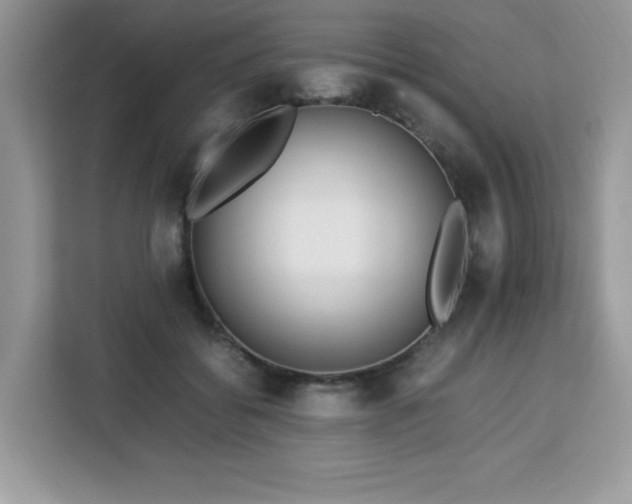 X0000113110556200908281411