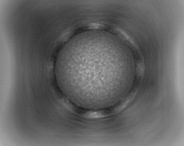 X0000113110557200908281411