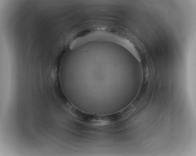 X0000113110559200908281411
