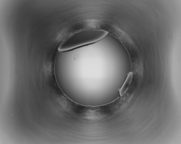 X0000113110560200908281411