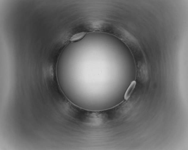 X0000113110562200908281411
