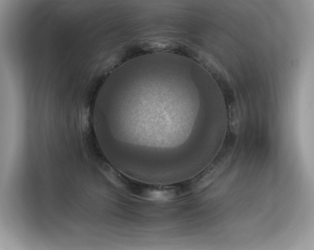 X0000113110563200908281411