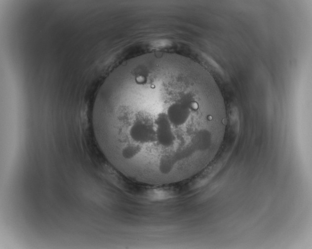 X0000113110565200908281411