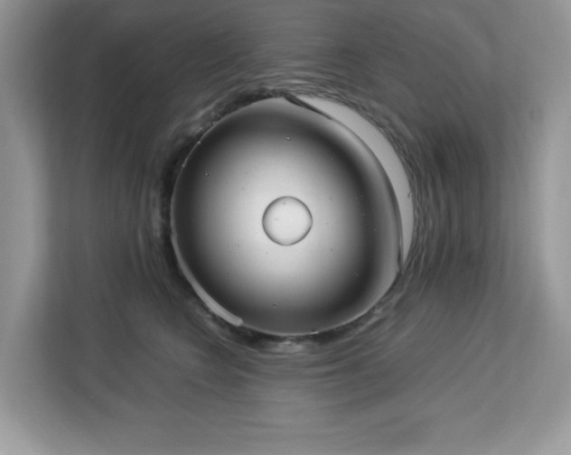 X0000113110566200908281411