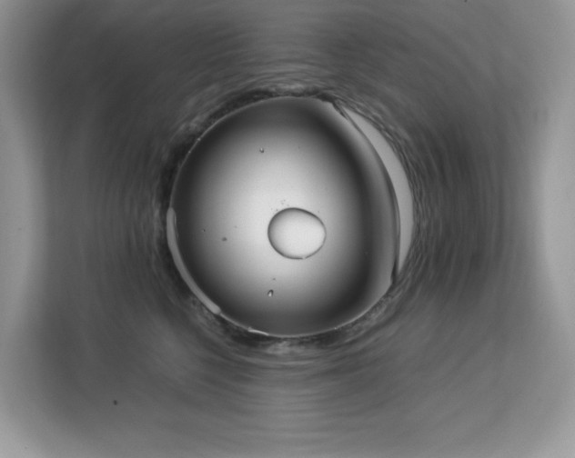 X0000113110568200908281411