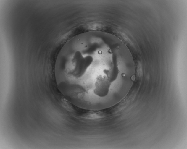 X0000113110569200908281411