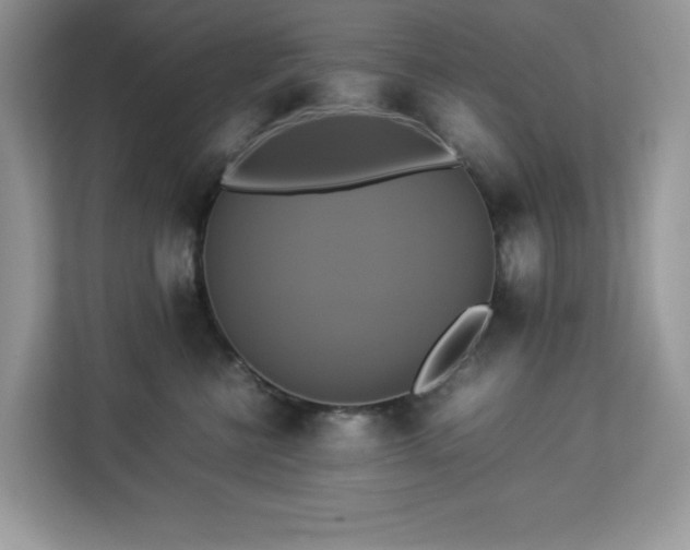 X0000113110570200908281411
