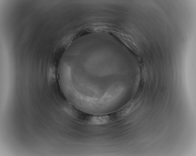 X0000113110571200908281411