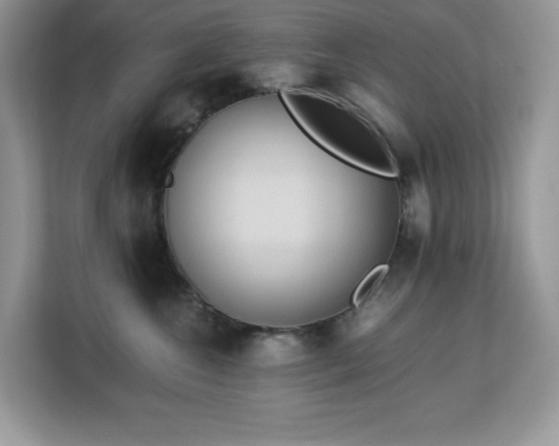 X0000113110572200908281411