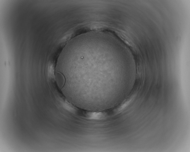 X0000113110575200908281411