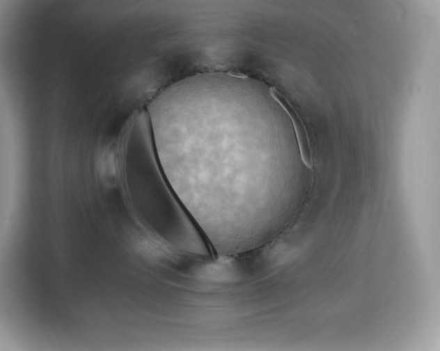 X0000113110576200908281411