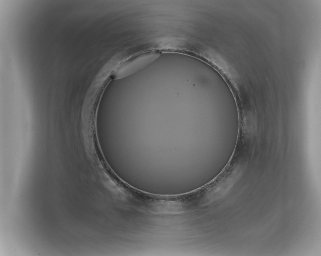 X0000113110577200908281410