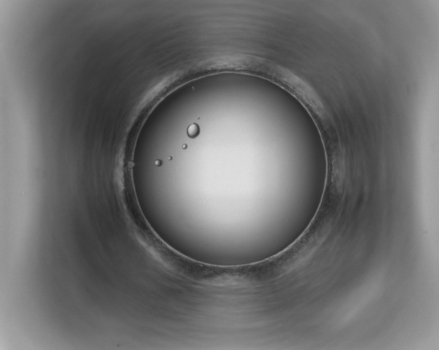 X0000113110578200908281410