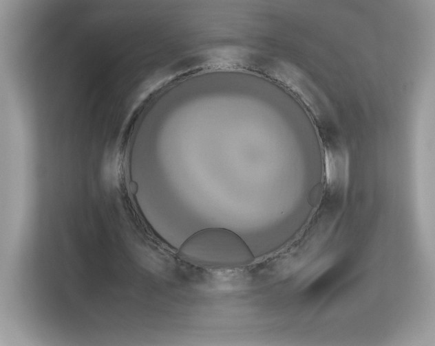 X0000113110579200908281410