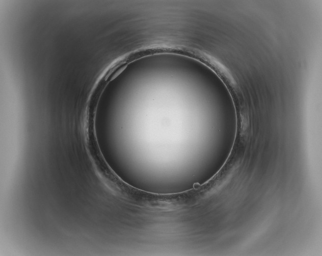 X0000113110580200908281410