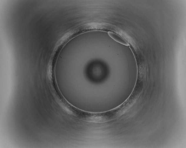 X0000113110581200908281410
