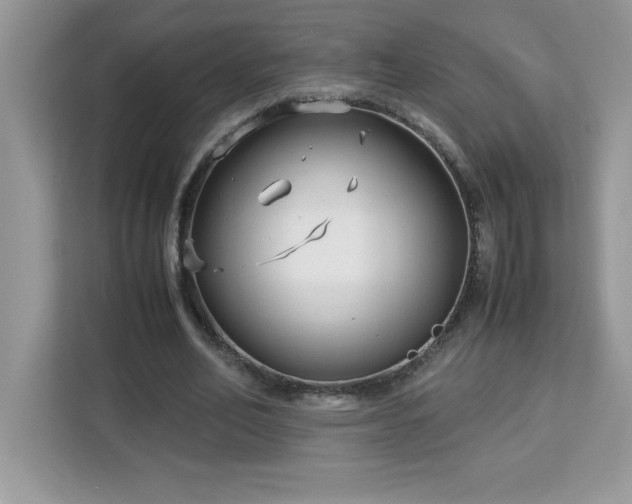 X0000113110582200908281410