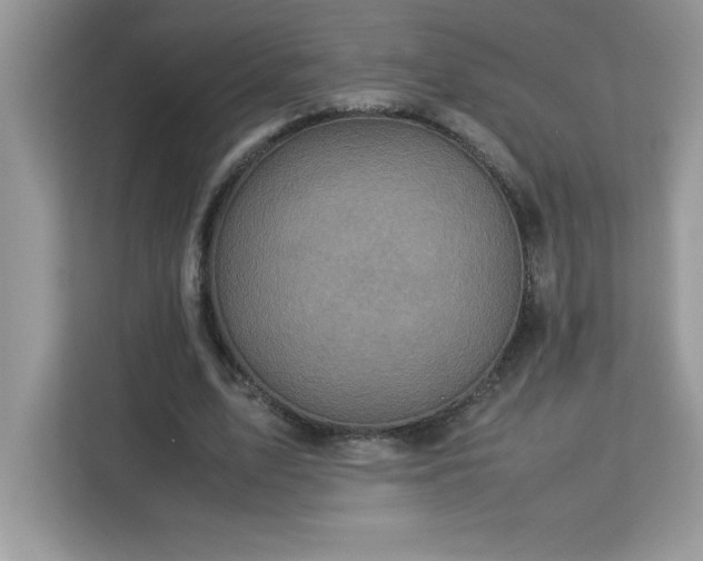 X0000113110583200908281410