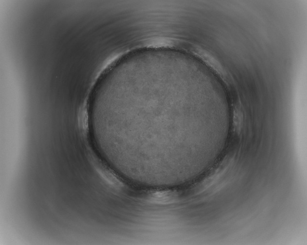 X0000113110584200908281410