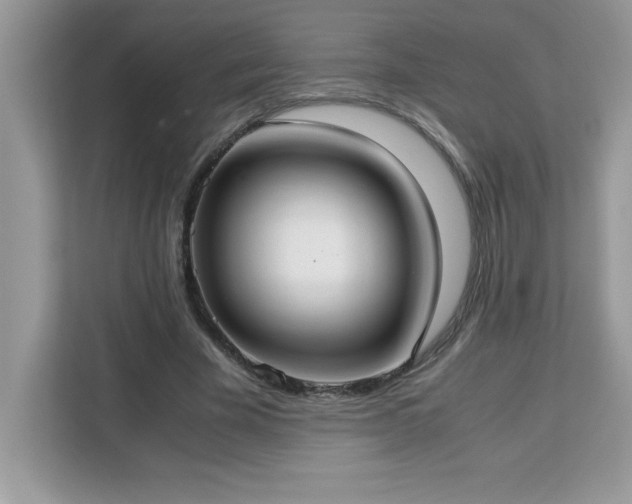 X0000113110585200908281410