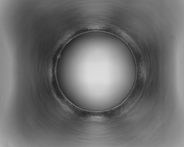 X0000113110586200908281410