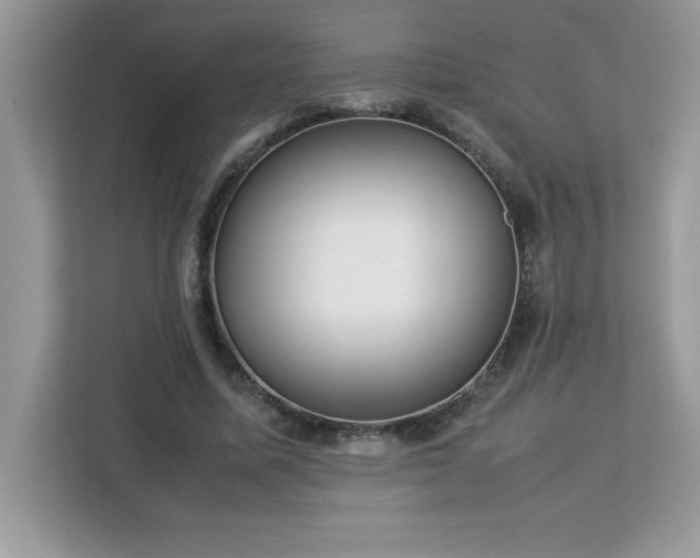 X0000113110587200908281410