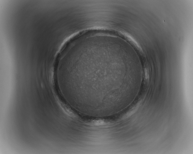 X0000113110588200908281410