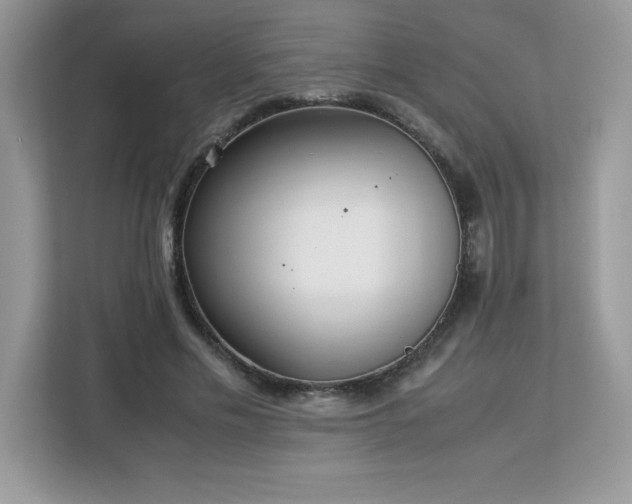 X0000113110589200908281410