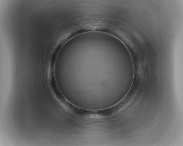 X0000113110590200908281410