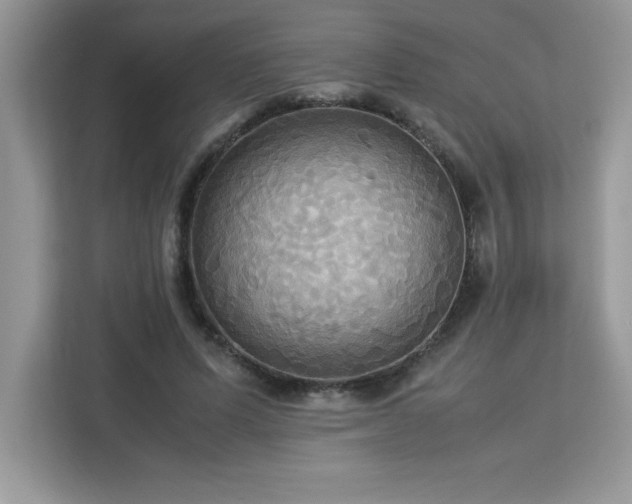 X0000113110591200908281410