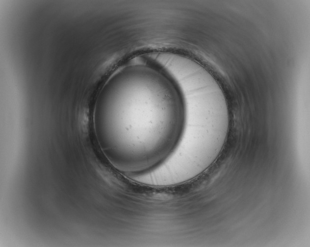 X0000113110592200908281410