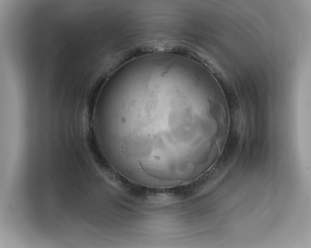 X0000113110594200908281410