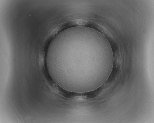 X0000113110595200908281410