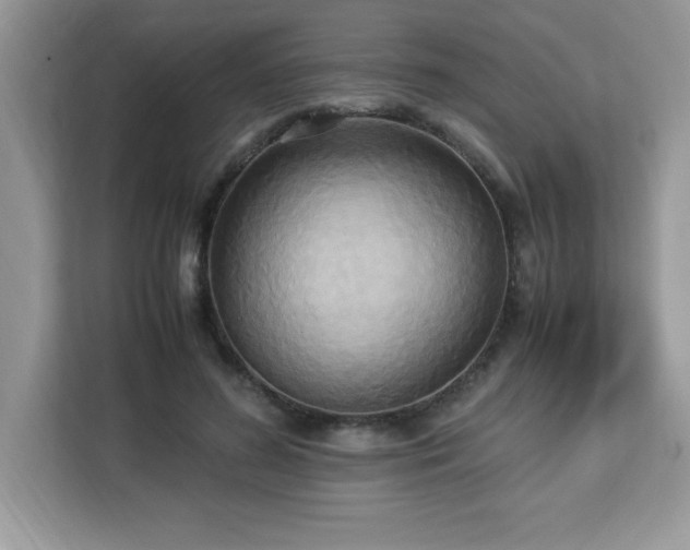 X0000113110596200908281410