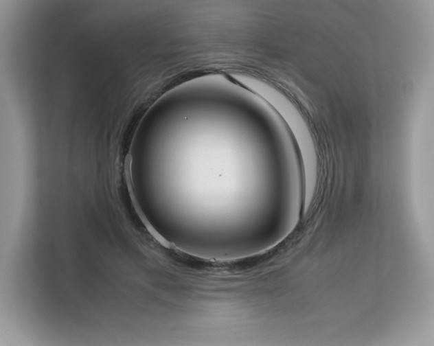 X0000113110597200908281410